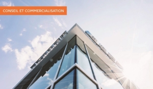 AnaHome Commercialisation