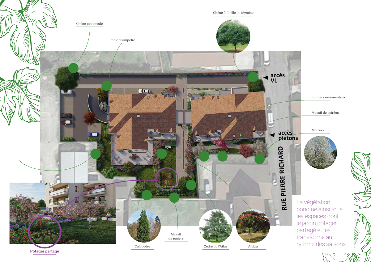 Plan Masse Potager Belena Beaune Appartements