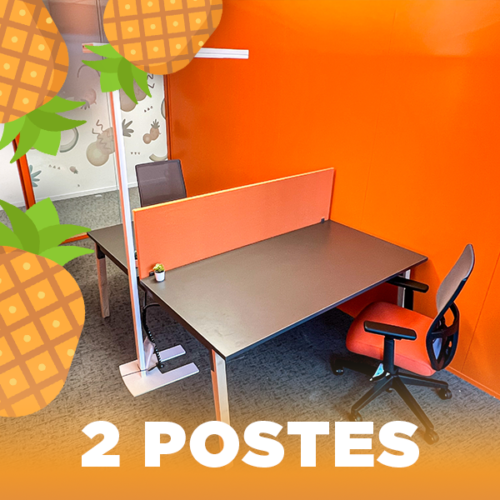 AnaWorking - le coworking flexible de Vaise - Bureau Ananas 2 Postes
