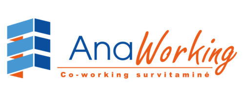 ANAWORKING-logo-transparent