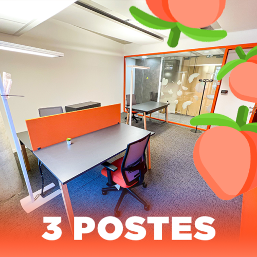 AnaWorking - le coworking flexible de Vaise - Bureau Pêche 3 Postes